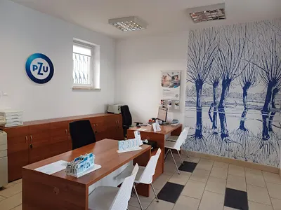 PZU Ubezpieczenia Ostrołęka - Agent Dominik Białobrzeski